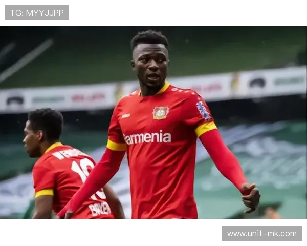 布基纳法索“黑马之路”:小城崛起背后的经济奇迹