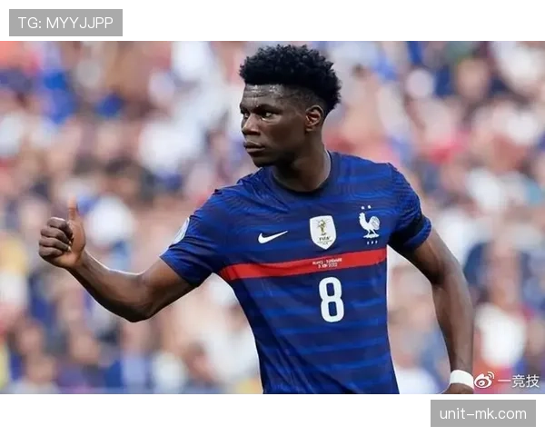 琼阿梅尼是否限制球队进攻组织